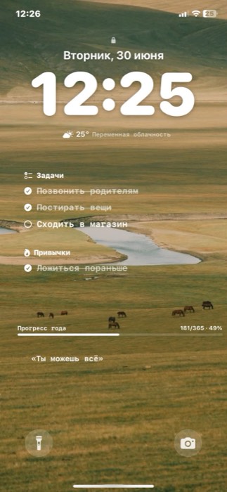 Lock screen with a steppe photo, tasks and habits
